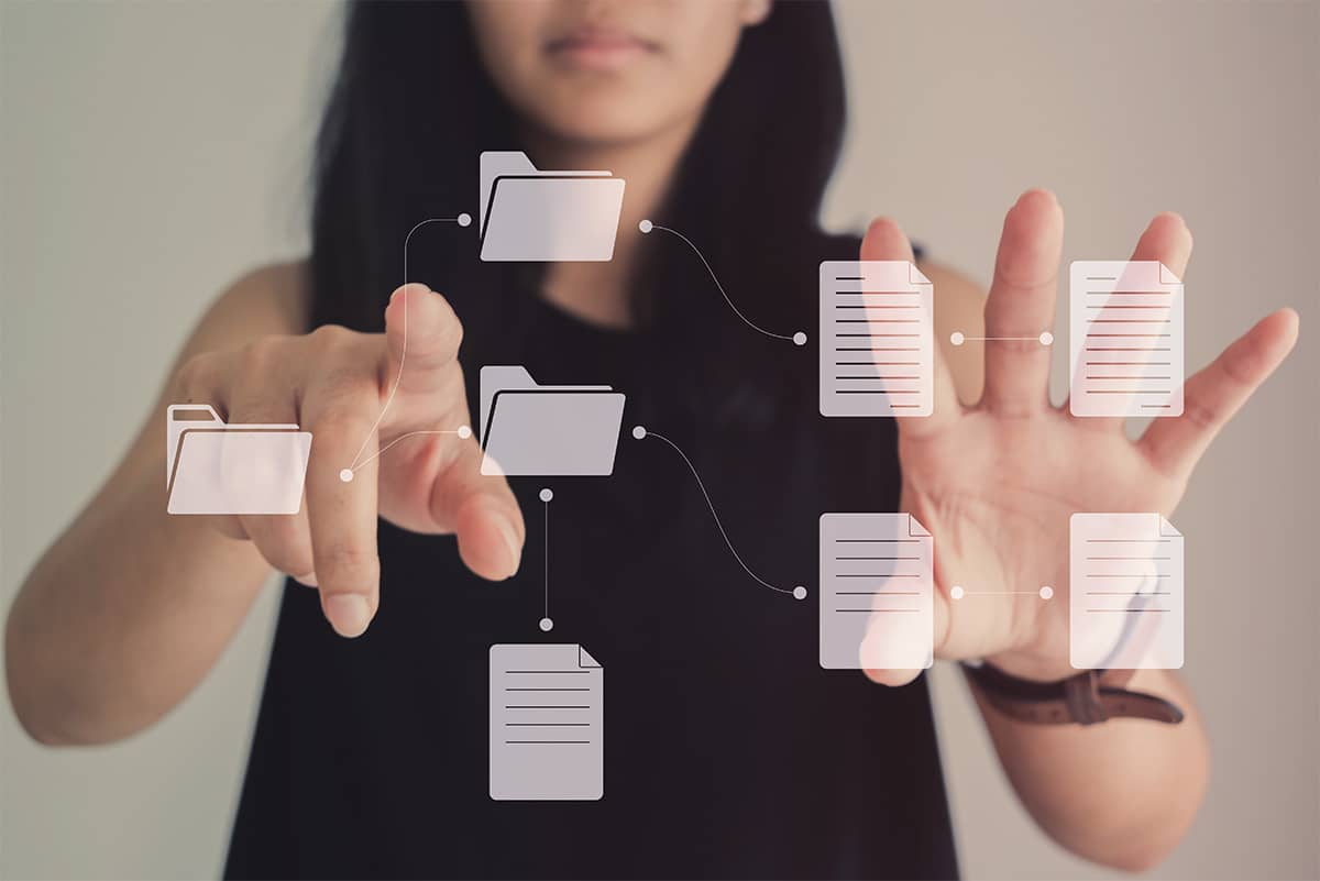 eCommerce SEO canonical tags