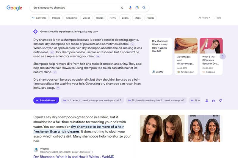 Google SGE search results